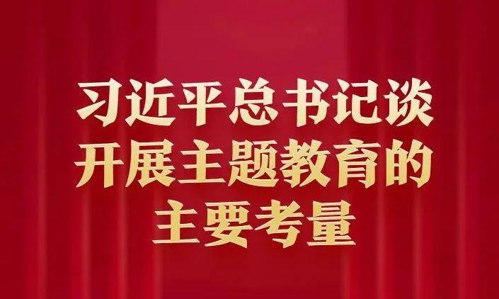 习近平总书记谈开展主题教育的主要考量